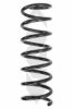 SPIDAN 86659 Coil Spring